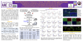 Research Poster "Retinal Manifestations of Alzheimer’s Disease: MicroRNAs and Microglial Phenotypes"