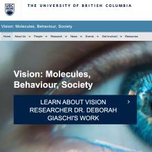 Vision Cluster Website