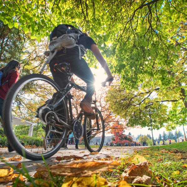 someone riding a bicycle
